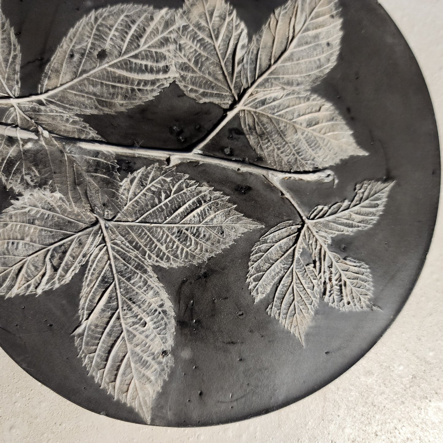 Plaster Botanical Bas Relief Artwork