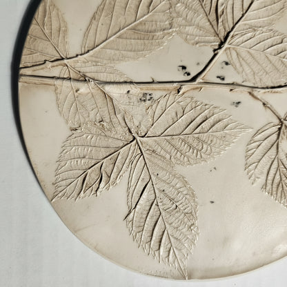 Plaster Botanical Bas Relief Artwork