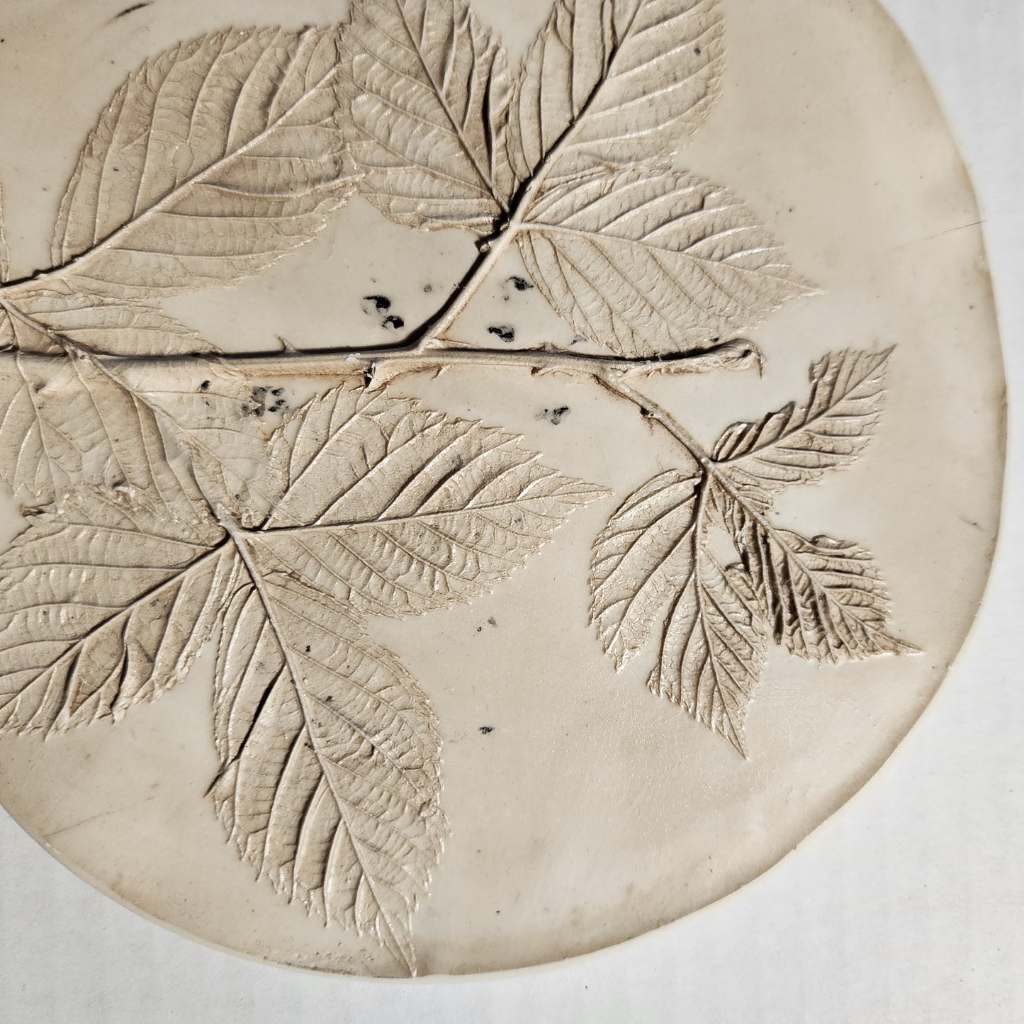 Plaster Botanical Bas Relief Artwork