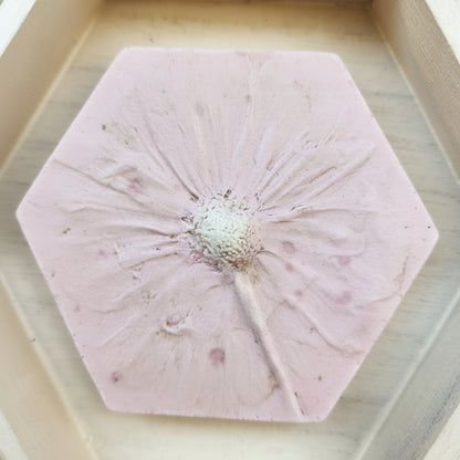 Plaster Botanical Bas Relief Artwork
