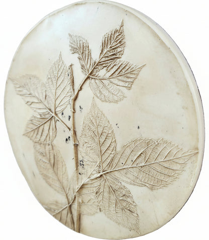 Plaster Botanical Bas Relief Artwork