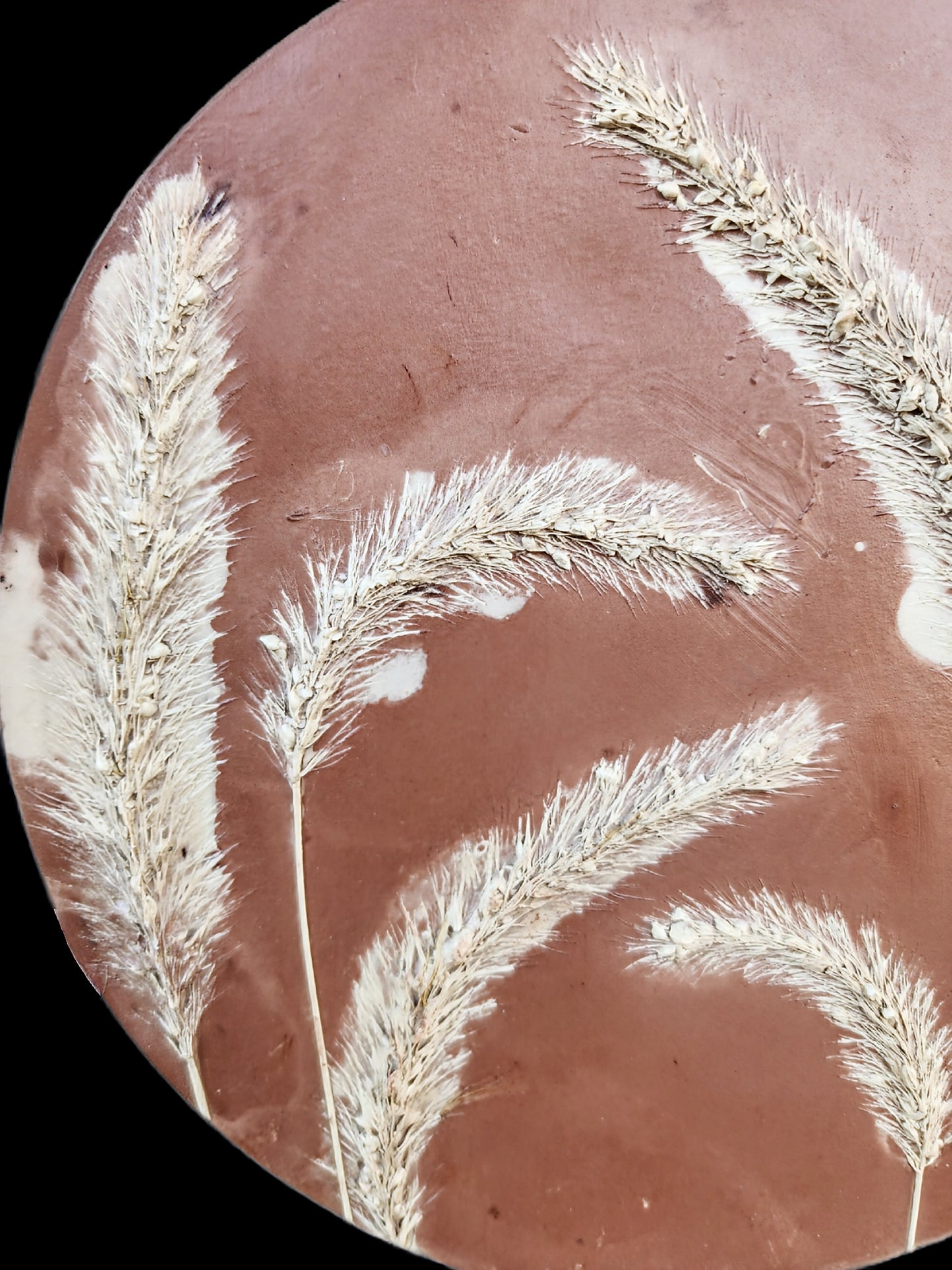 Botanical Bas Relief Plaster Cast