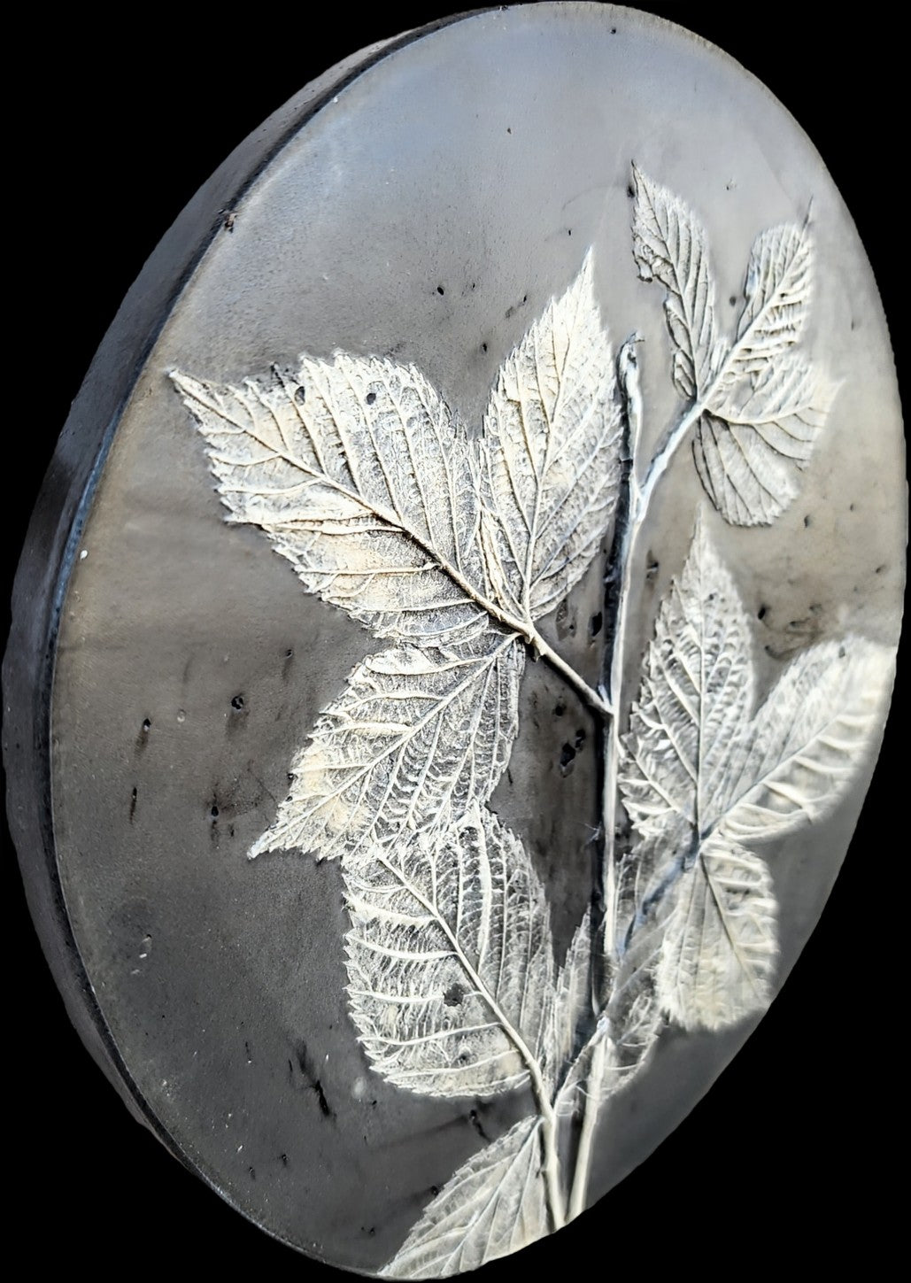 Plaster Botanical Bas Relief Artwork