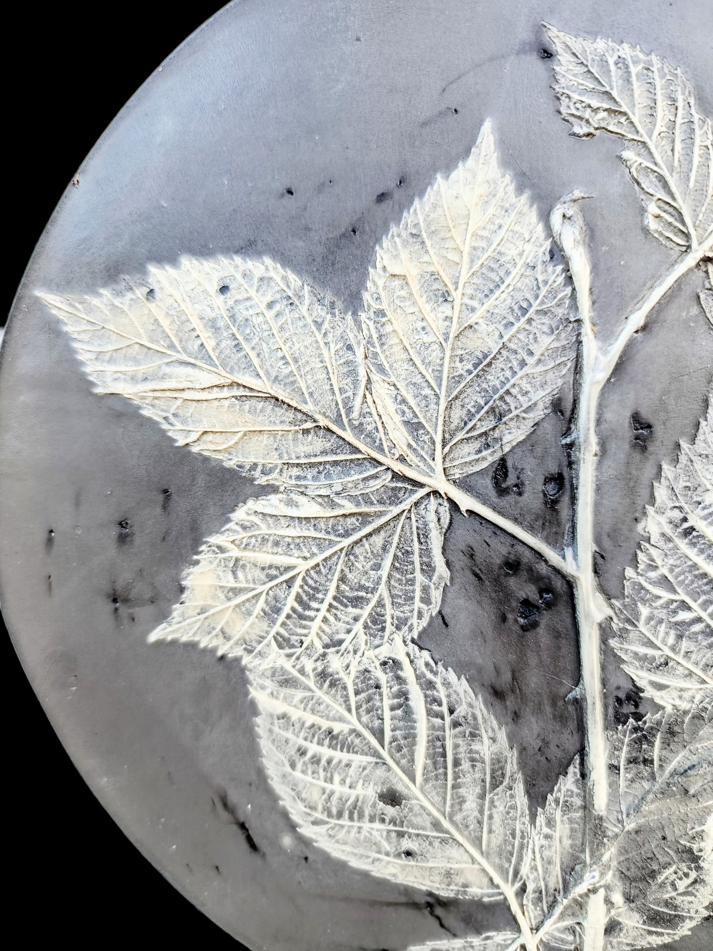 Plaster Botanical Bas Relief Artwork