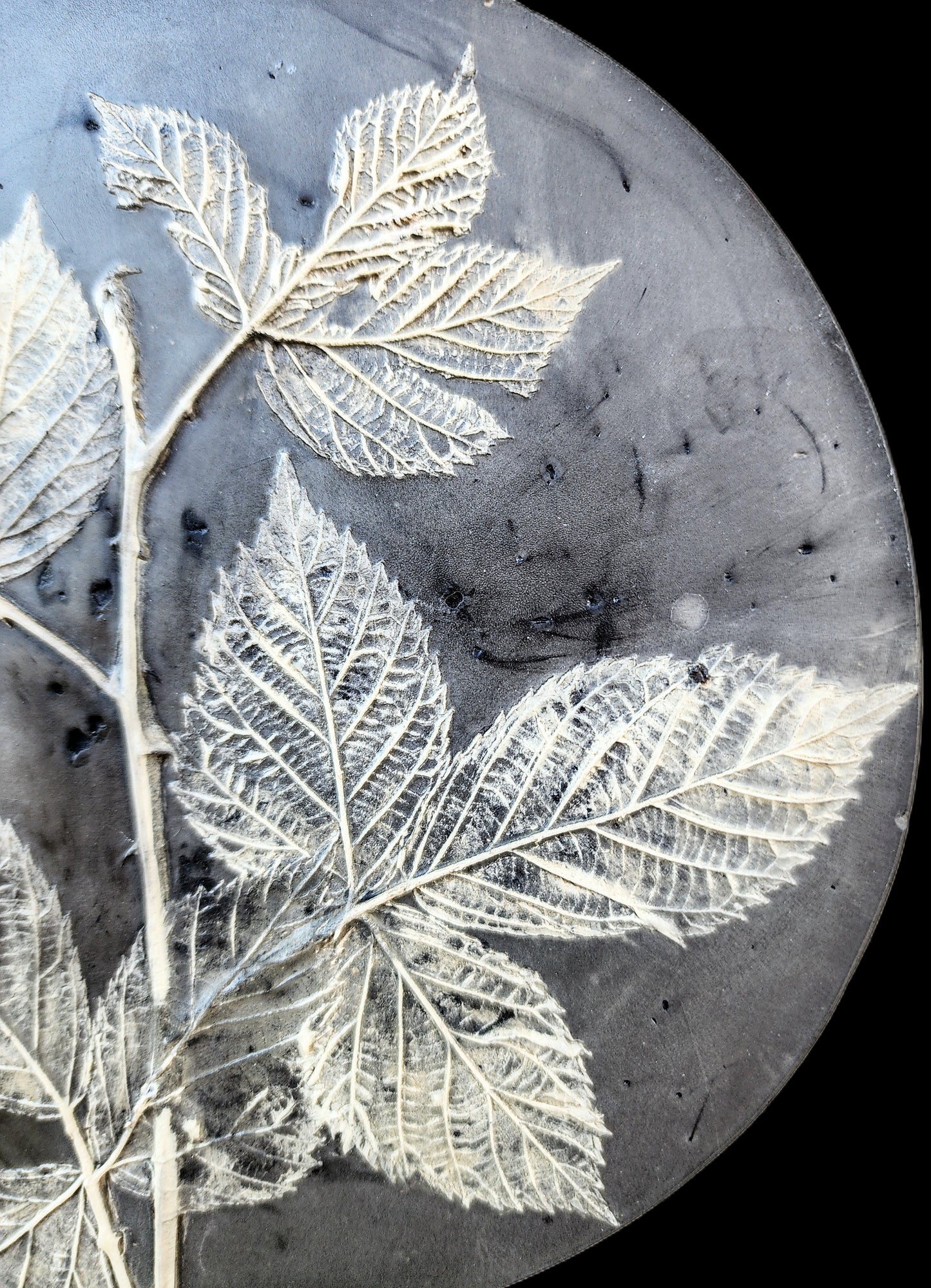 Plaster Botanical Bas Relief Artwork