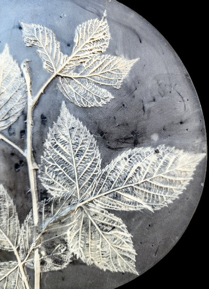 Plaster Botanical Bas Relief Artwork