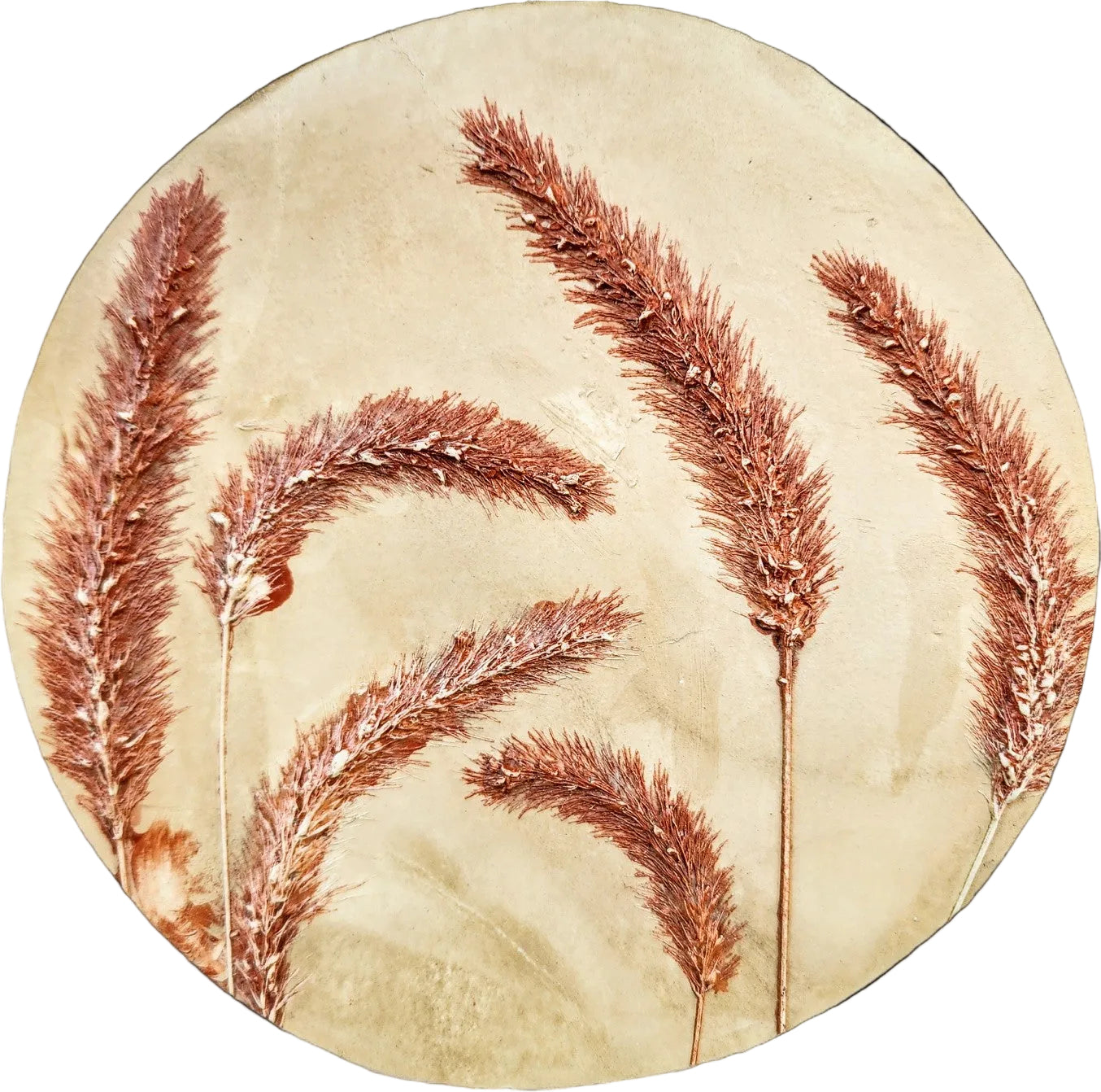 Plaster Botanical Bas Relief Artwork