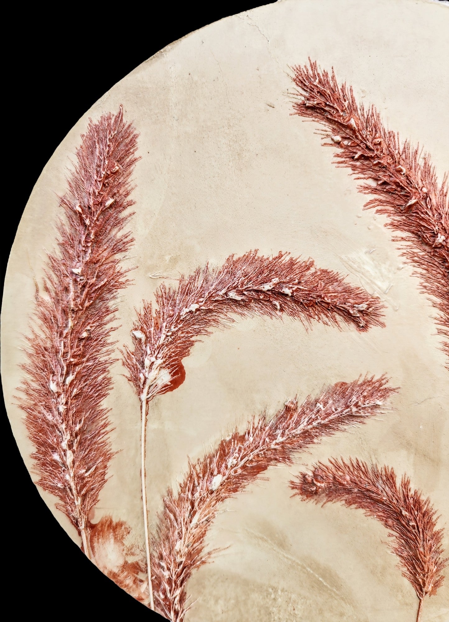 Plaster Botanical Bas Relief Artwork