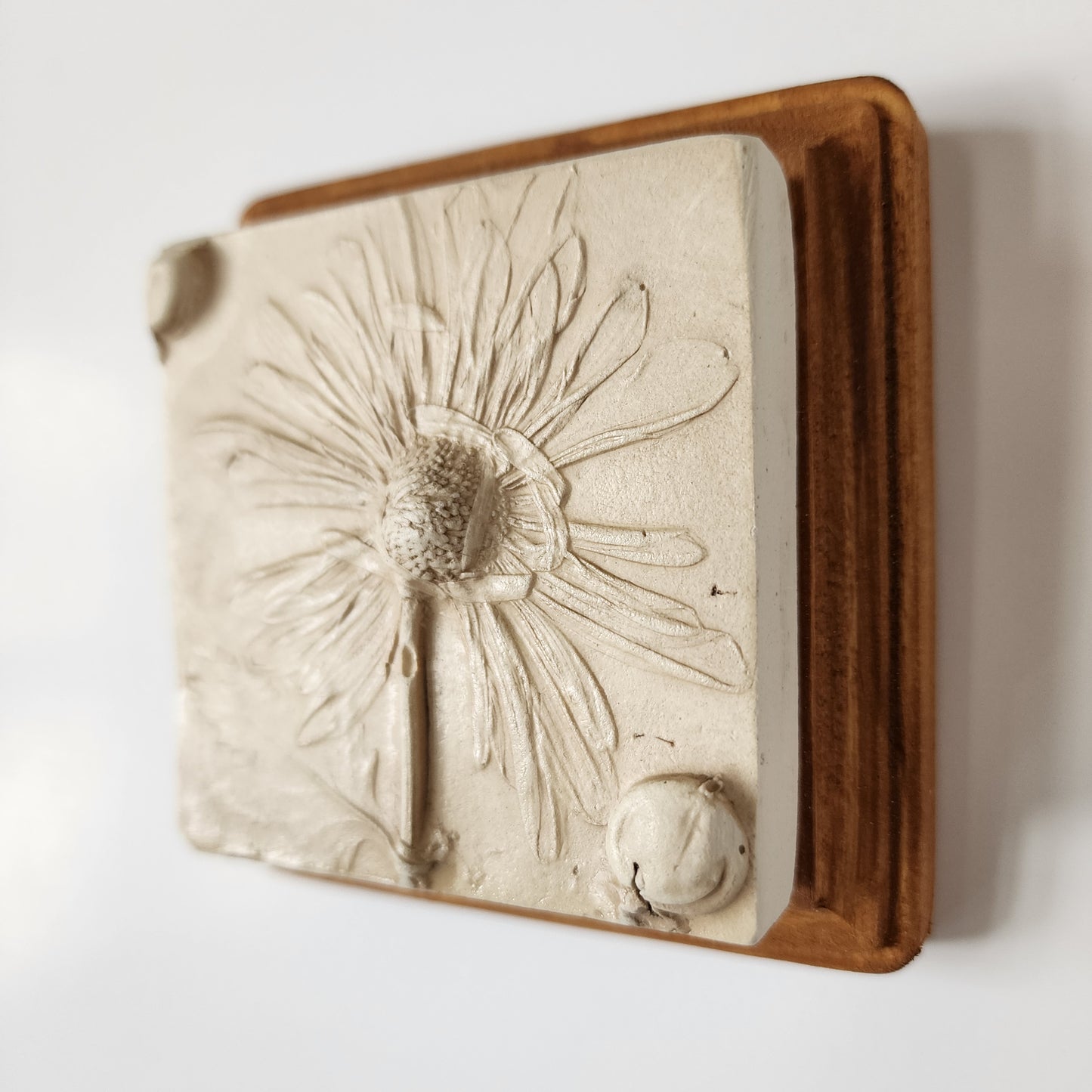 Plaster Botanical Bas Relief Artwork