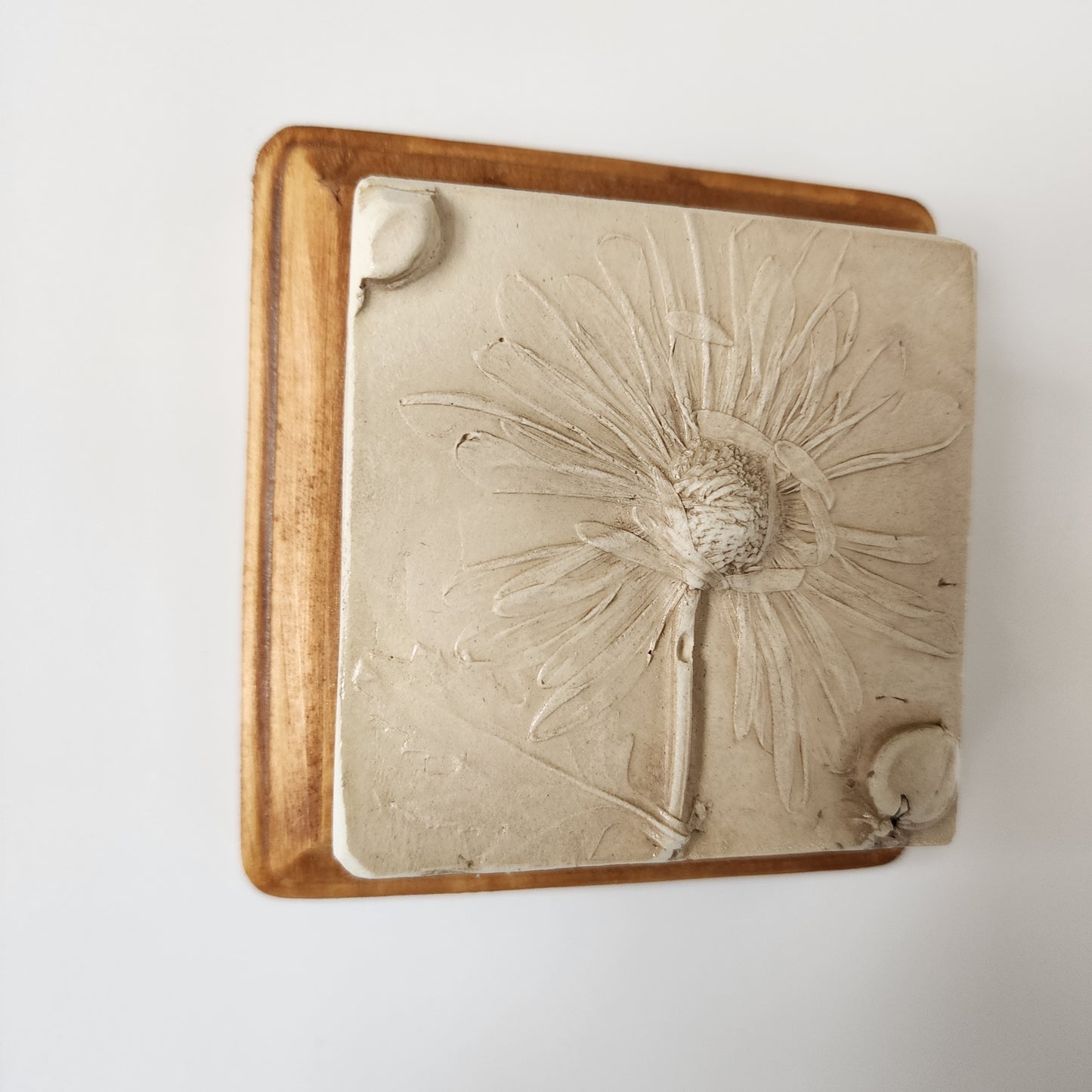 Plaster Botanical Bas Relief Artwork