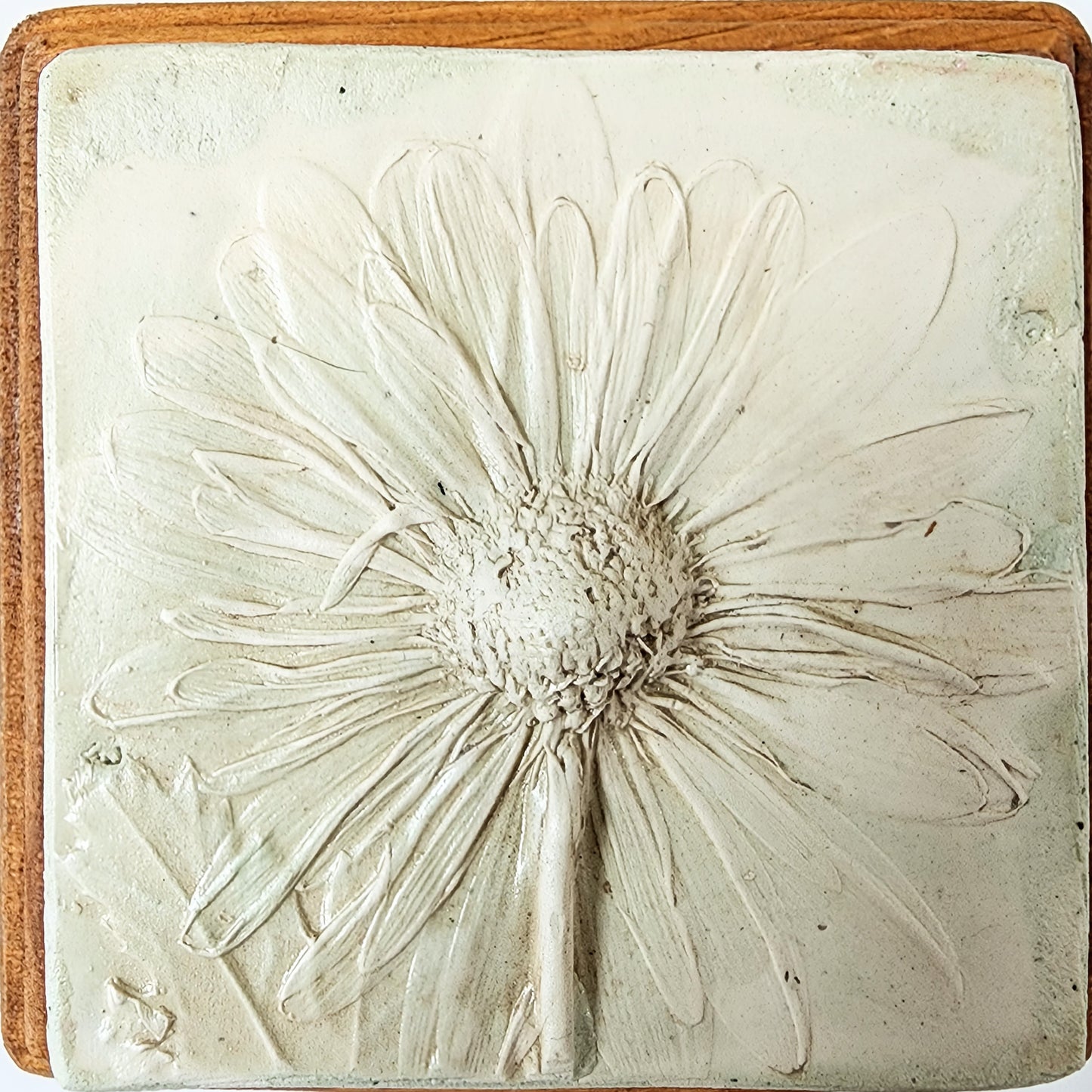 Plaster Botanical Bas Relief Artwork