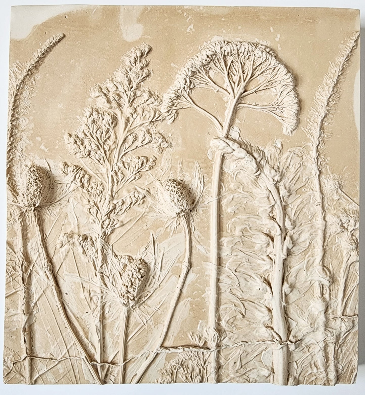 Plaster Botanical Bas Relief Artwork