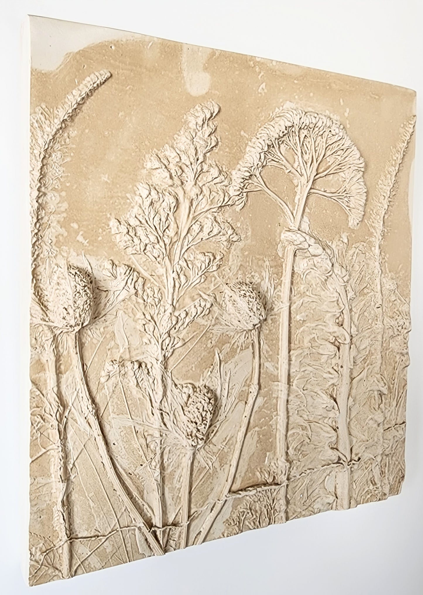 Plaster Botanical Bas Relief Artwork