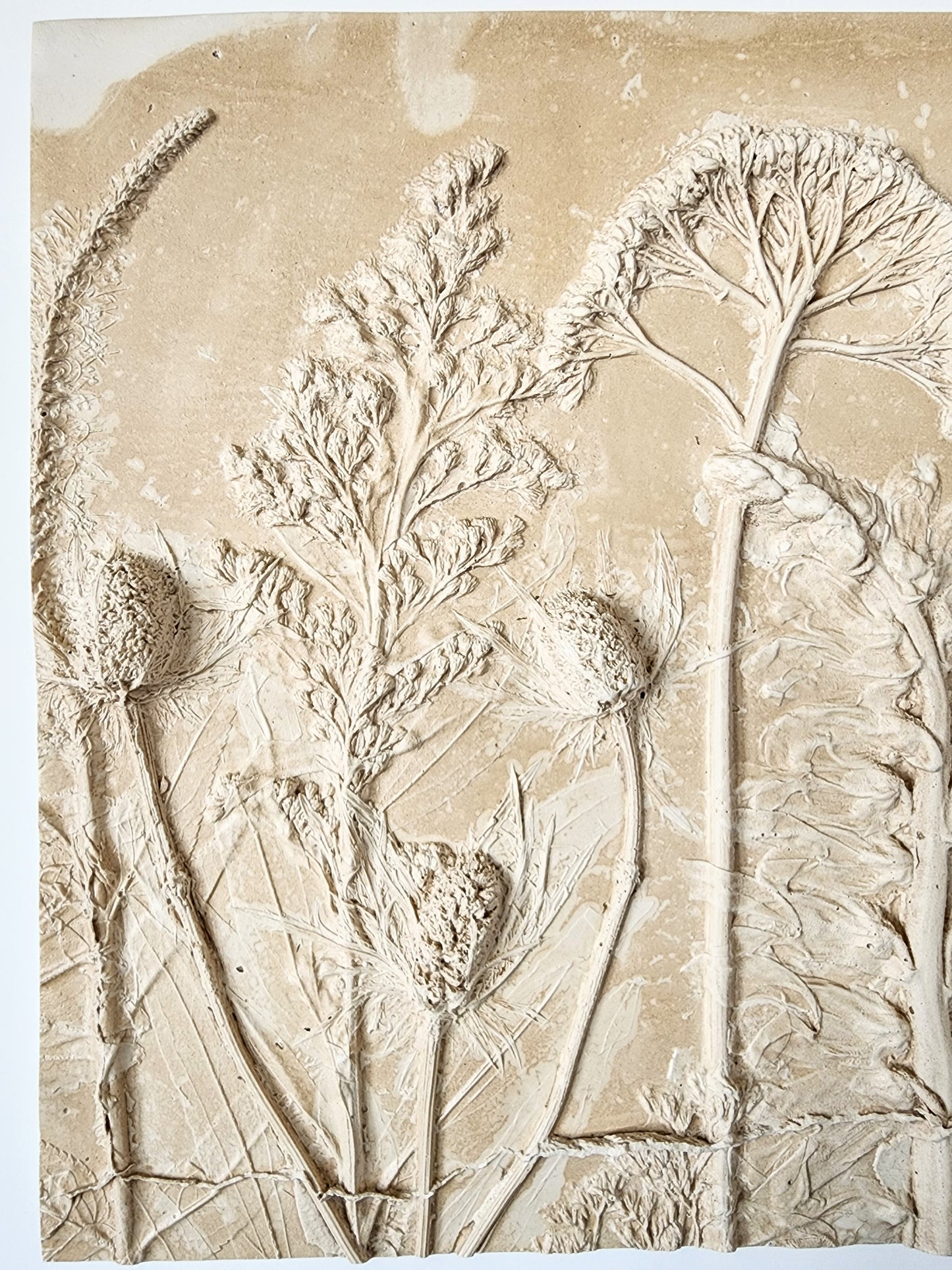 Plaster Botanical Bas Relief Artwork