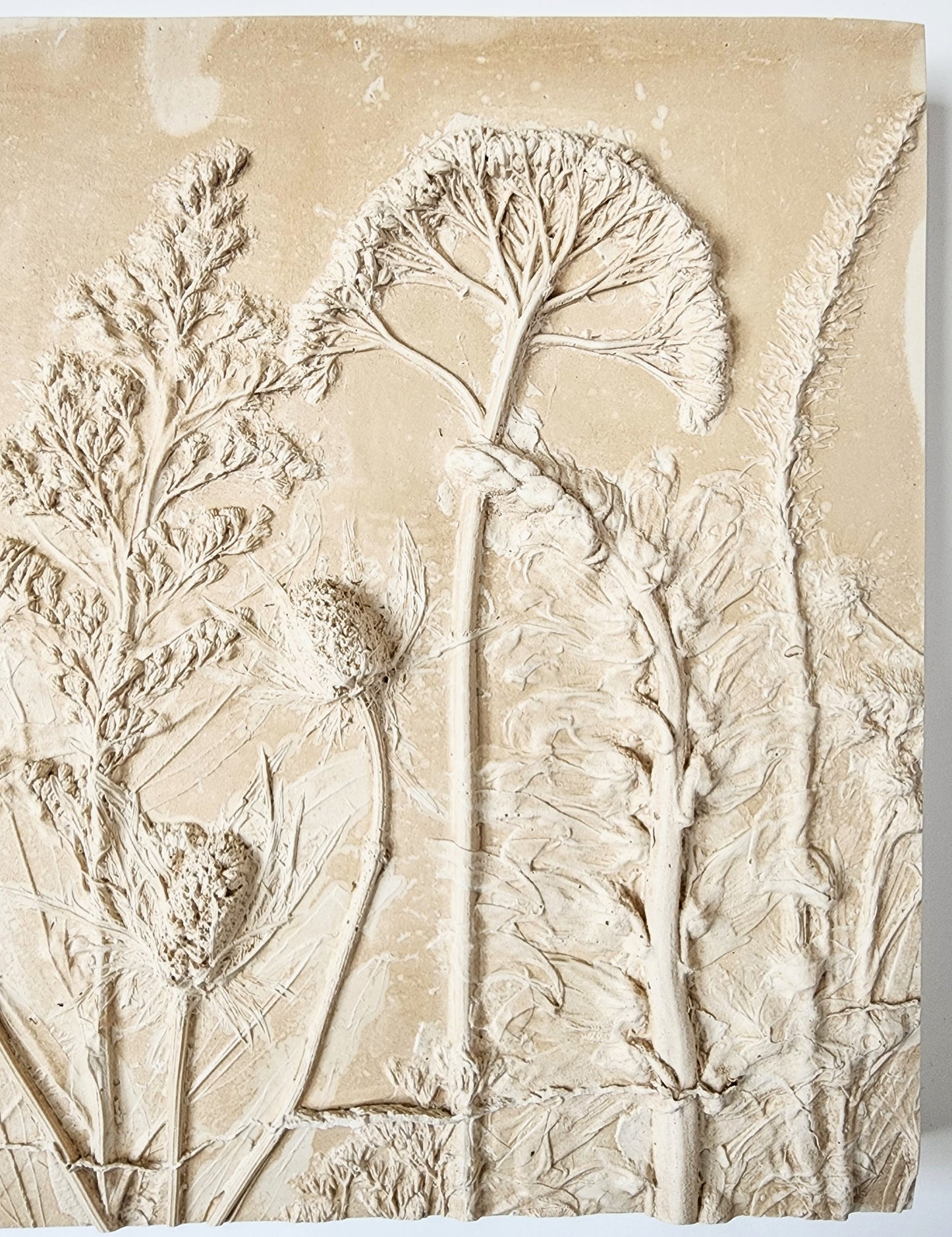 Plaster Botanical Bas Relief Artwork