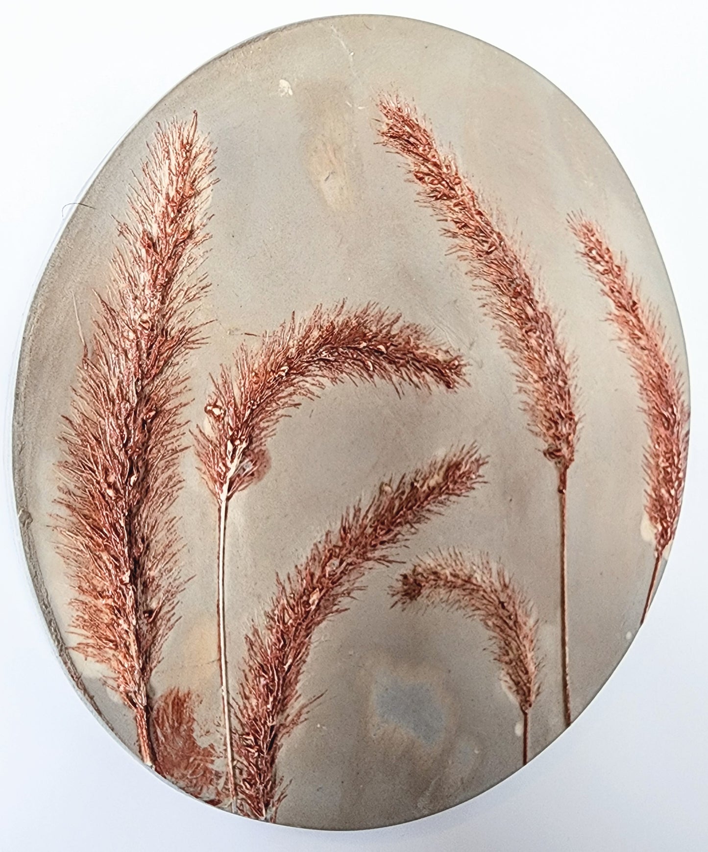 Botanical Bas Relief Plaster Cast