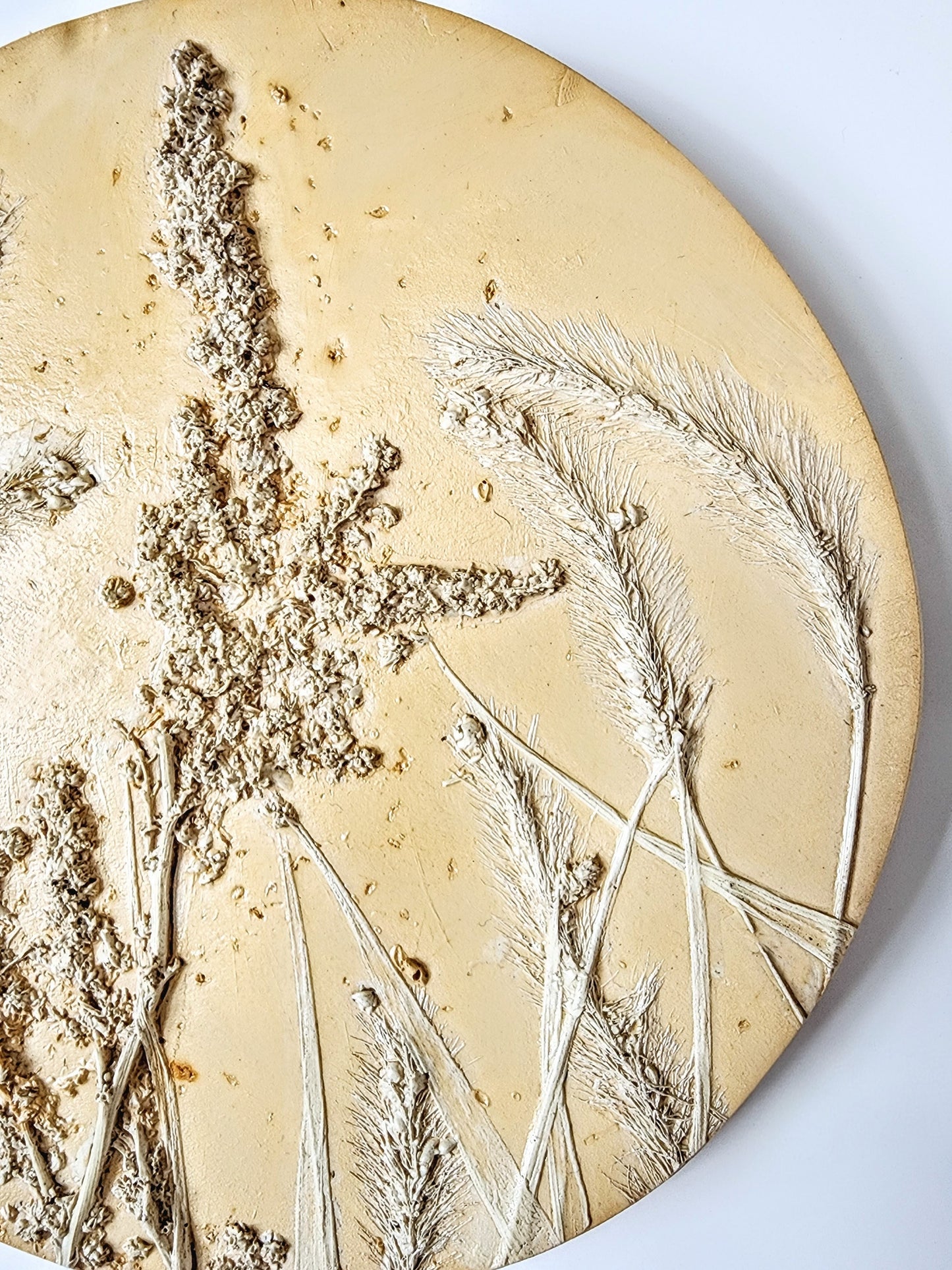 Plaster Botanical Bas Relief Artwork