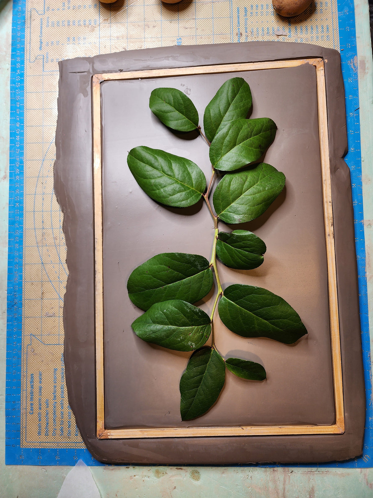 Lemons & Salal Lemonleaf Plaster Botanical Bas Relief Wall Art
