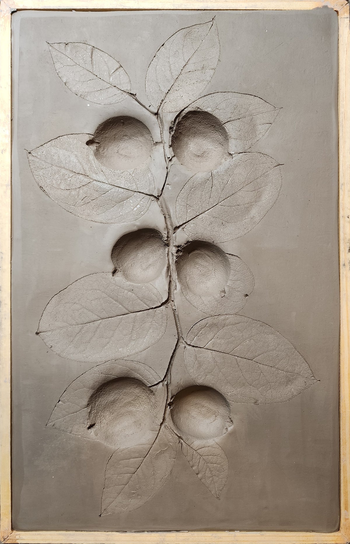 Lemons & Salal Lemonleaf Plaster Botanical Bas Relief Wall Art