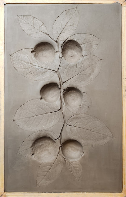 Lemons & Salal Lemonleaf Plaster Botanical Bas Relief Wall Art