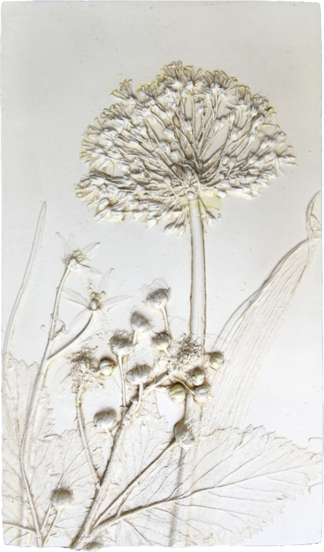 Plaster Botanical Bas Relief Artwork