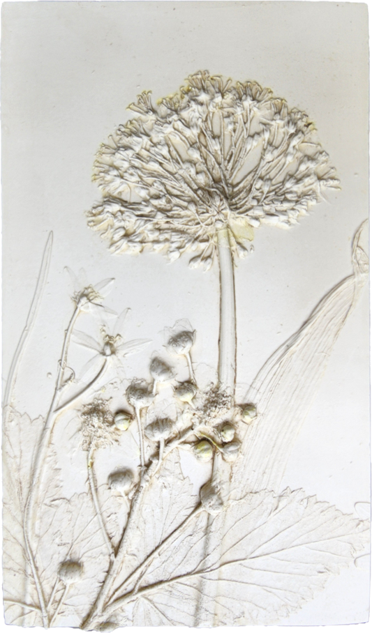 Plaster Botanical Bas Relief Artwork