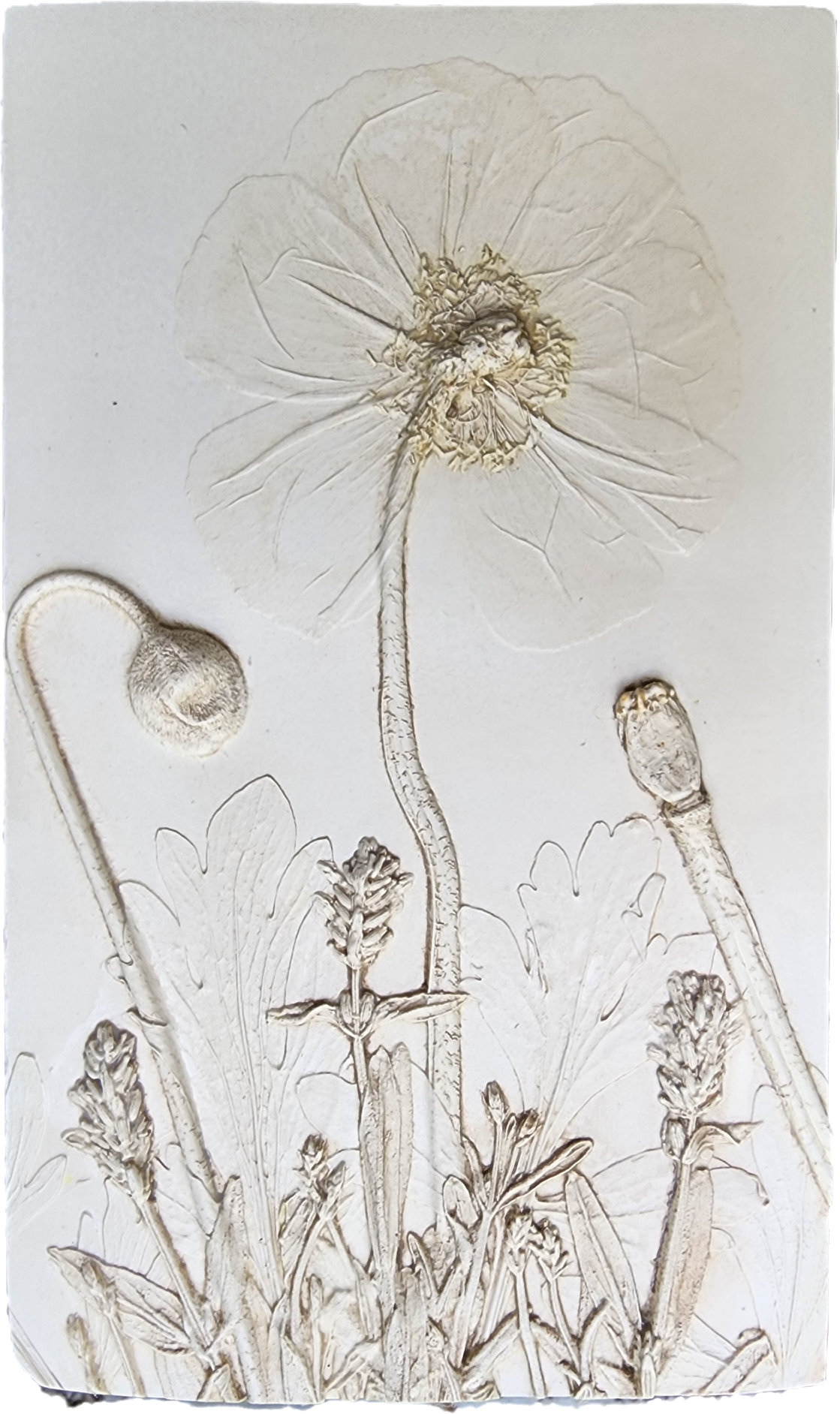 Plaster Botanical Bas Relief Artwork