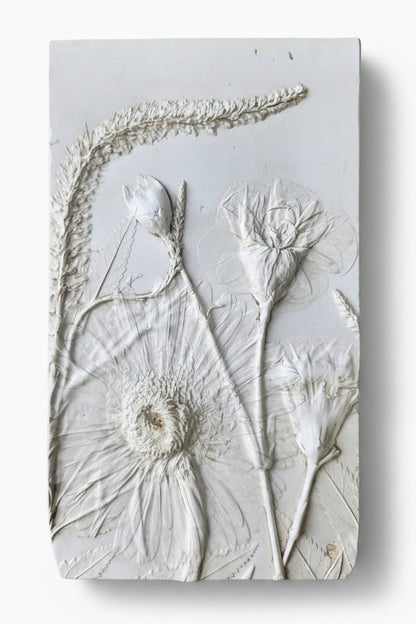 Plaster Botanical Bas Relief Artwork