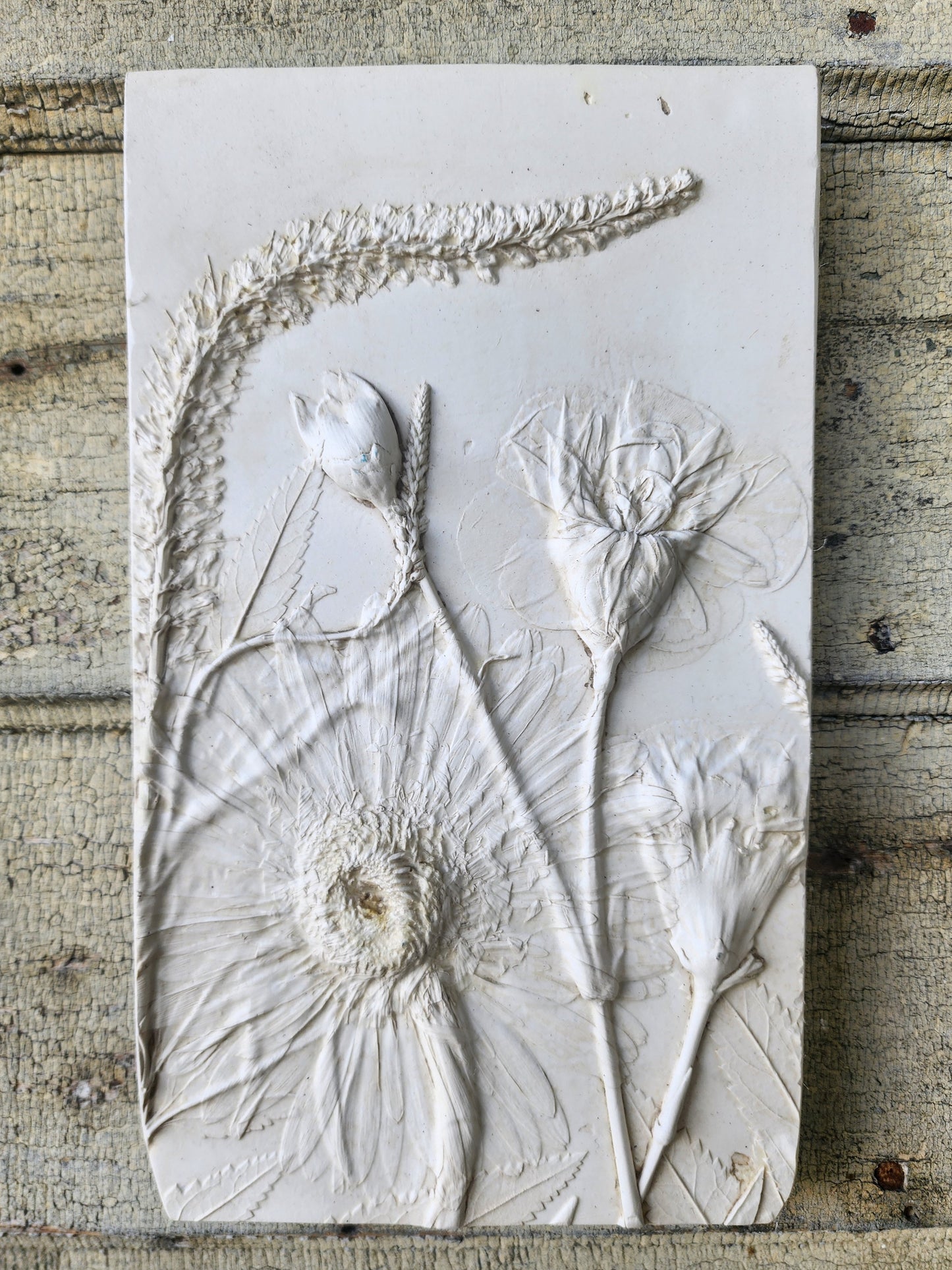 Plaster Botanical Bas Relief Artwork