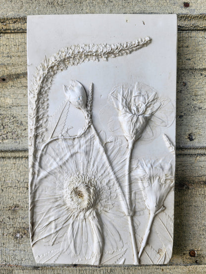 Plaster Botanical Bas Relief Artwork