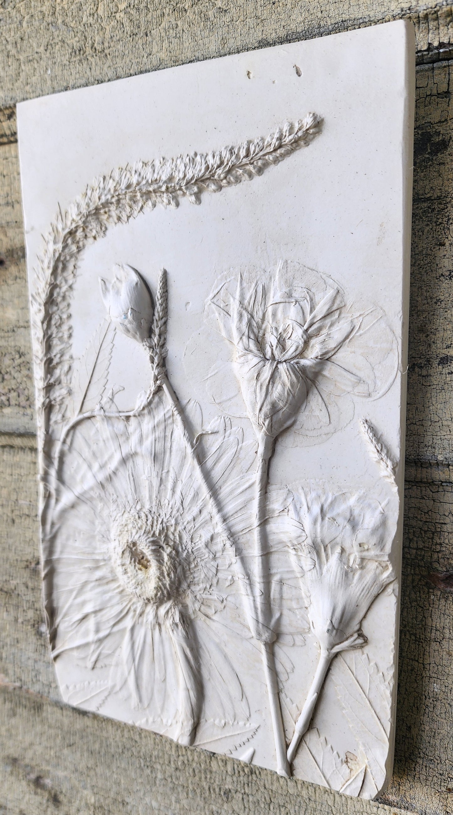 Plaster Botanical Bas Relief Artwork