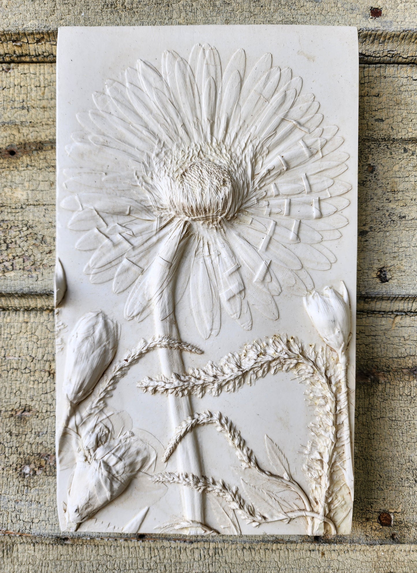Gerber Daisy, Carnation & Veronica Plaster Botanical Bas Relief Wall Art