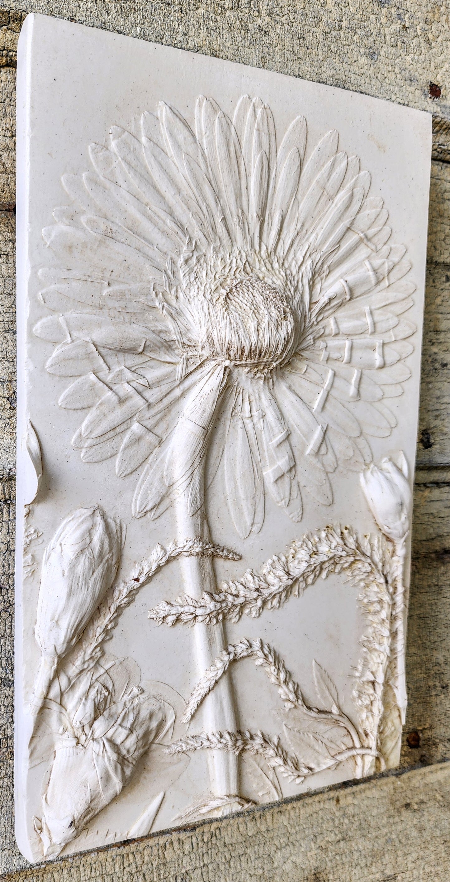 Gerber Daisy, Carnation & Veronica Plaster Botanical Bas Relief Wall Art
