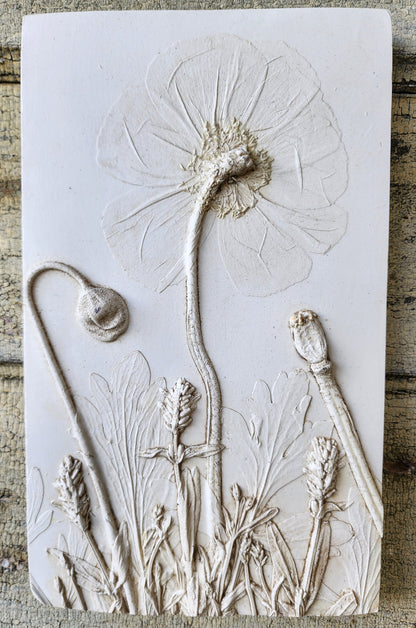 Iceland Poppy & Lavender Plaster Botanical Bas Relief Wall Art