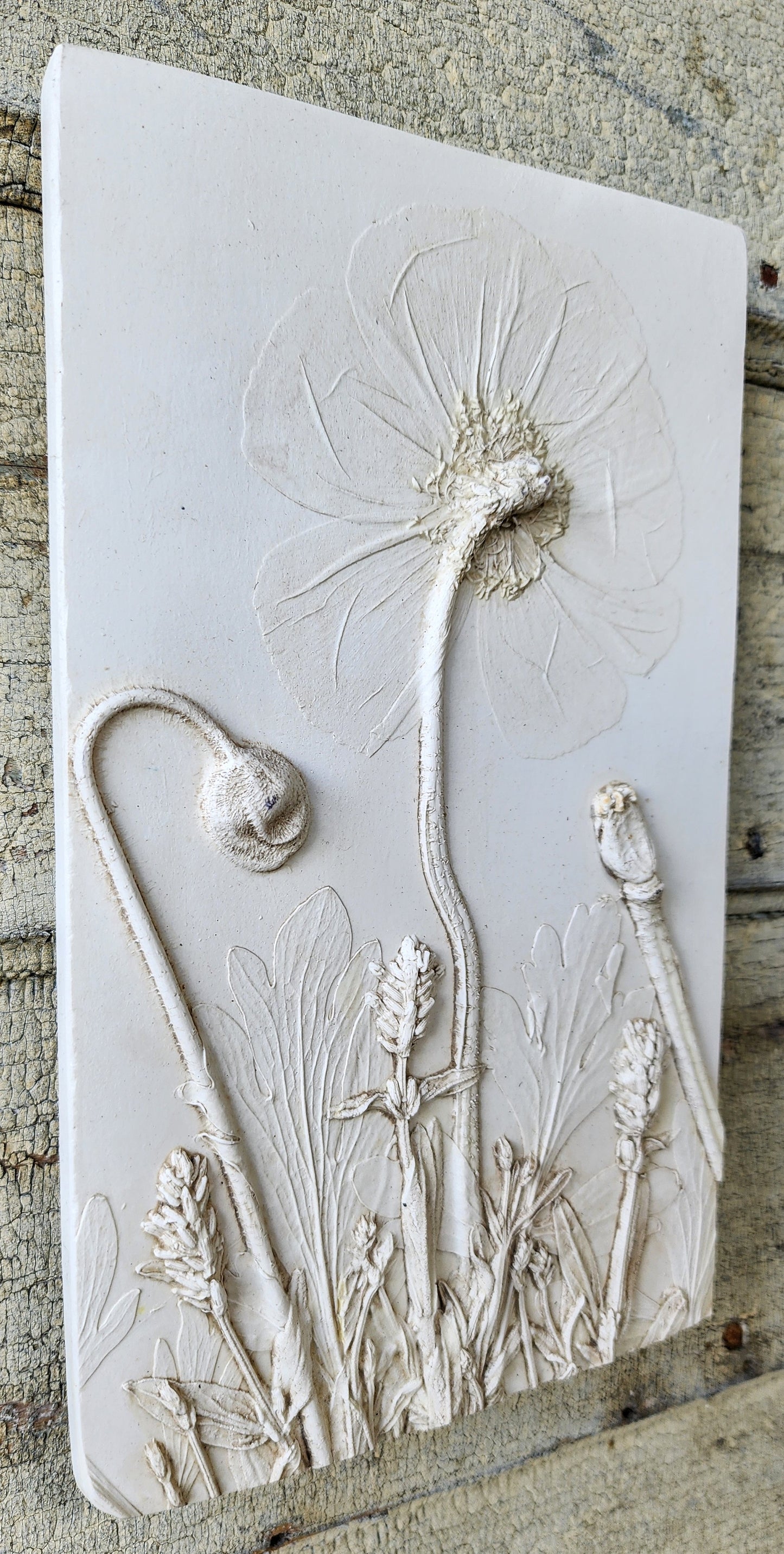 Iceland Poppy & Lavender Plaster Botanical Bas Relief Wall Art