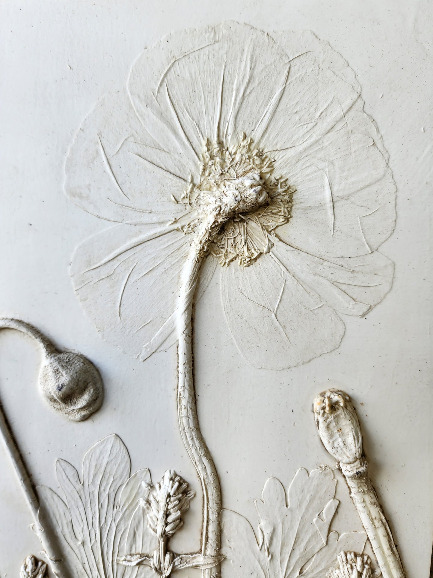 Iceland Poppy & Lavender Plaster Botanical Bas Relief Wall Art