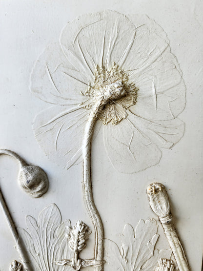 Iceland Poppy & Lavender Plaster Botanical Bas Relief Wall Art