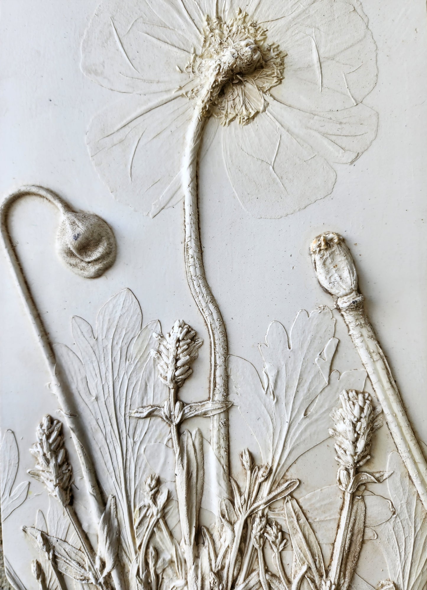 Iceland Poppy & Lavender Plaster Botanical Bas Relief Wall Art
