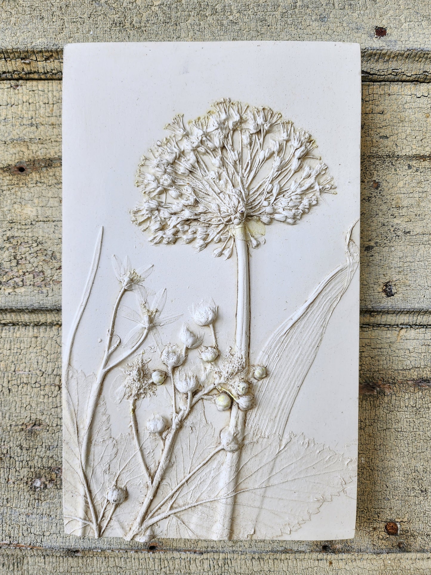Plaster Botanical Bas Relief Artwork