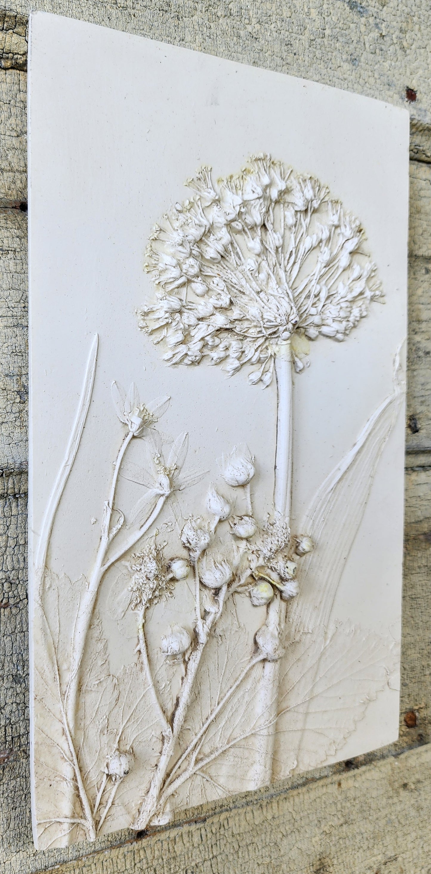 Plaster Botanical Bas Relief Artwork