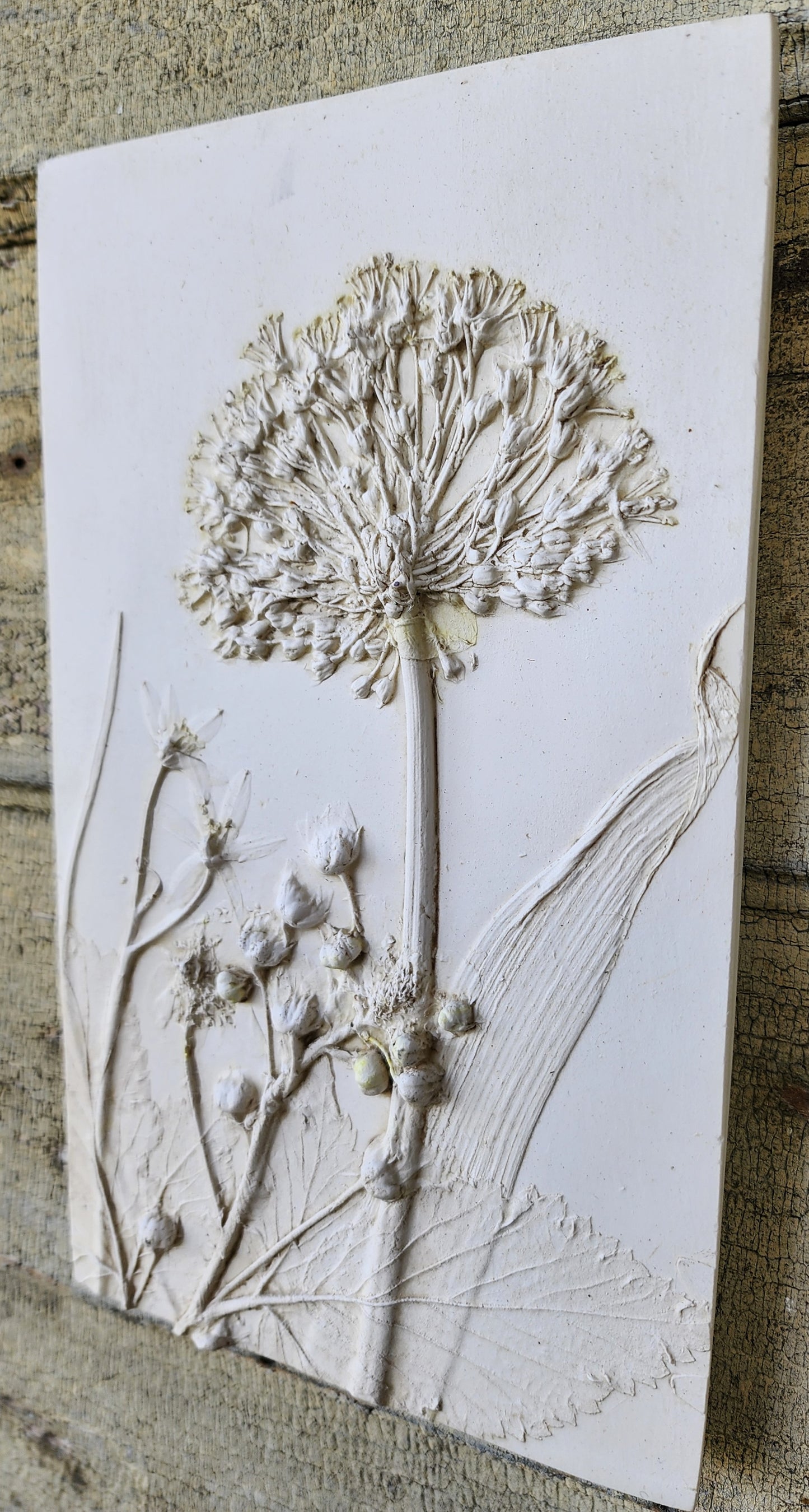 Plaster Botanical Bas Relief Artwork