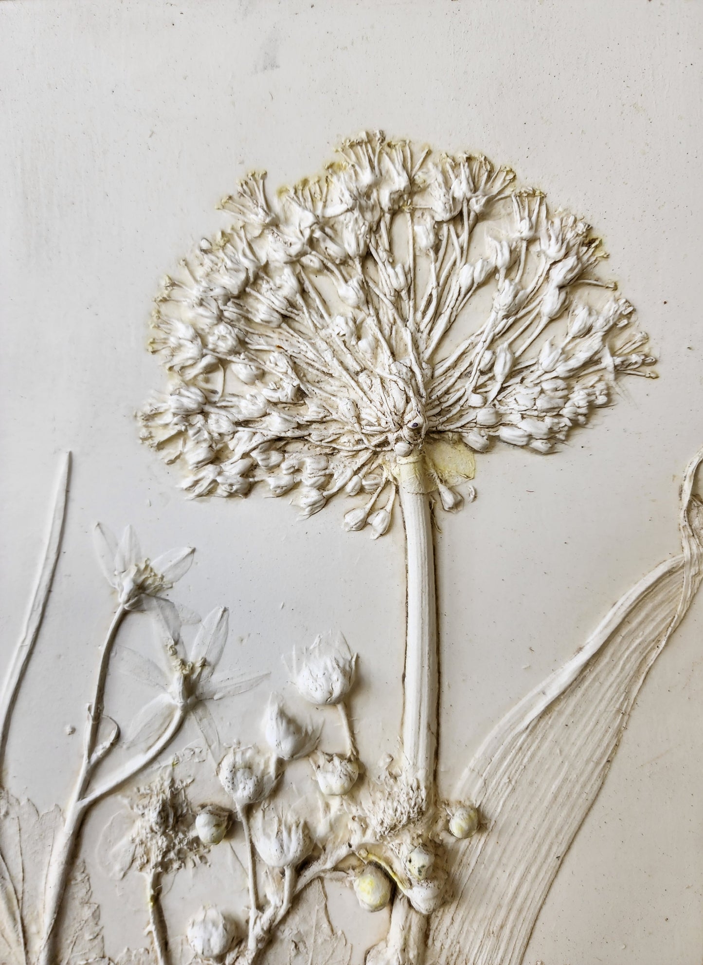 Plaster Botanical Bas Relief Artwork