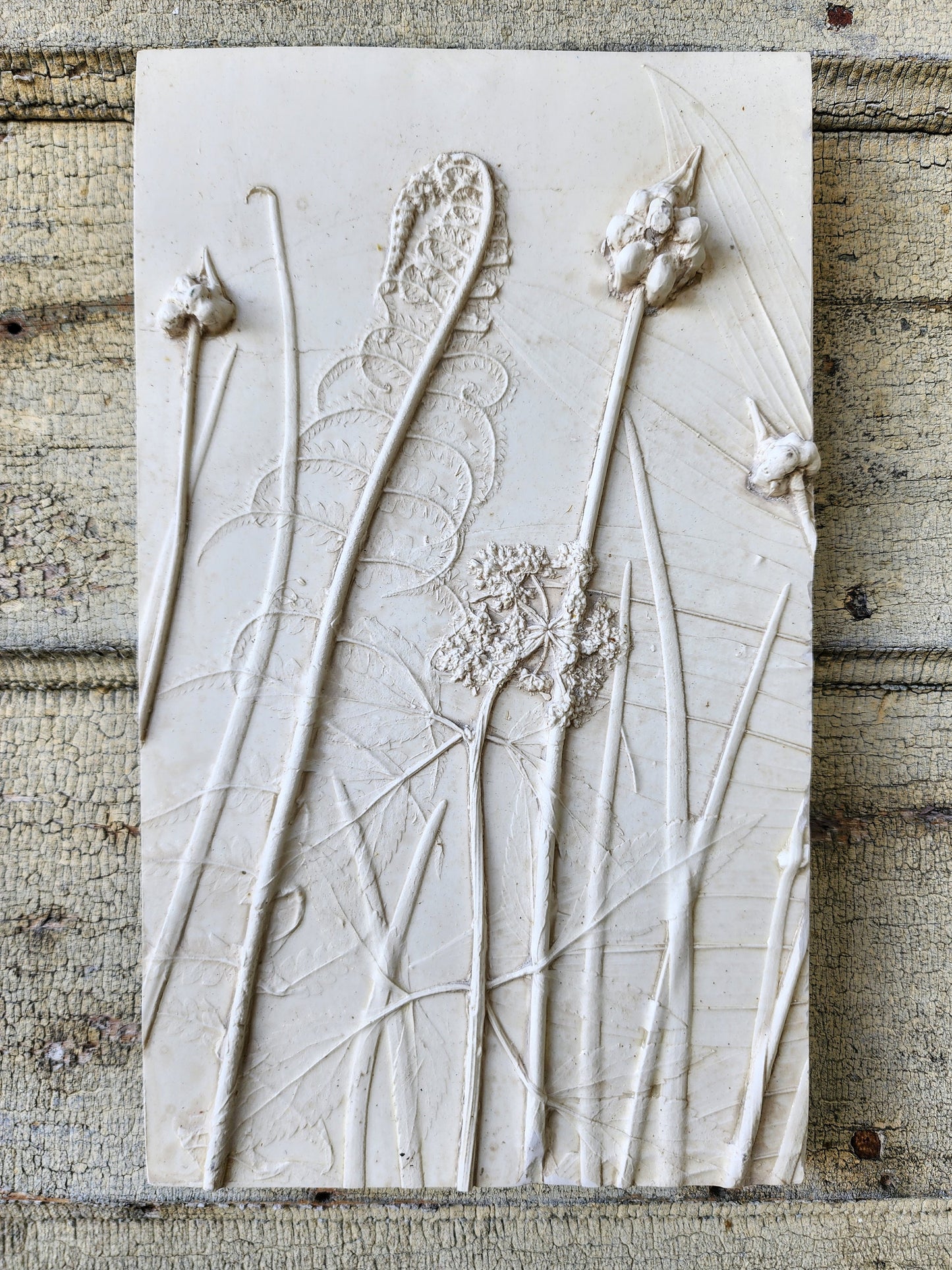 Ostrich Fern, Wild Onion, Solomon's Seal & Golden Alexander Plaster Botanical Bas Relief Wall Art