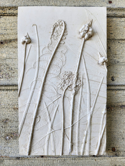 Ostrich Fern, Wild Onion, Solomon's Seal & Golden Alexander Plaster Botanical Bas Relief Wall Art