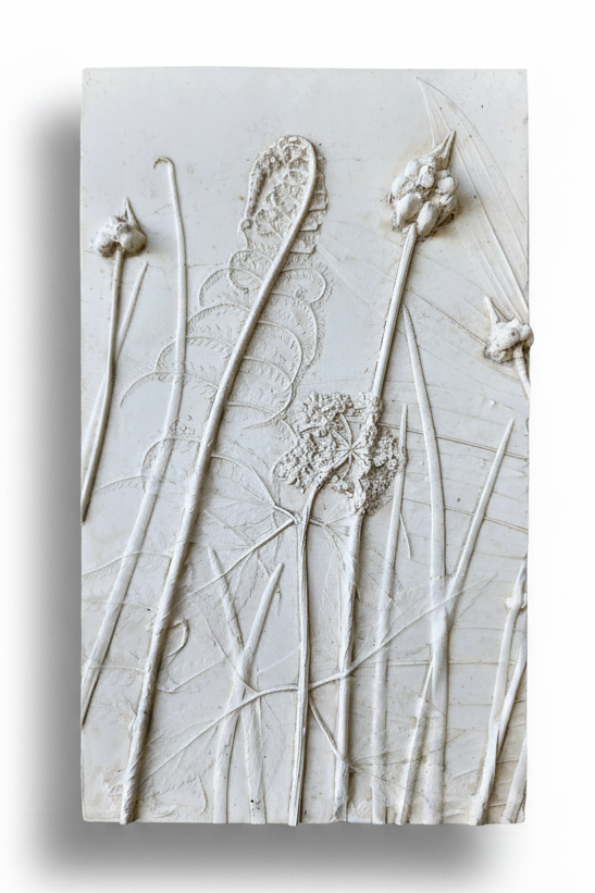 Ostrich Fern, Wild Onion, Solomon's Seal & Golden Alexander Plaster Botanical Bas Relief Wall Art