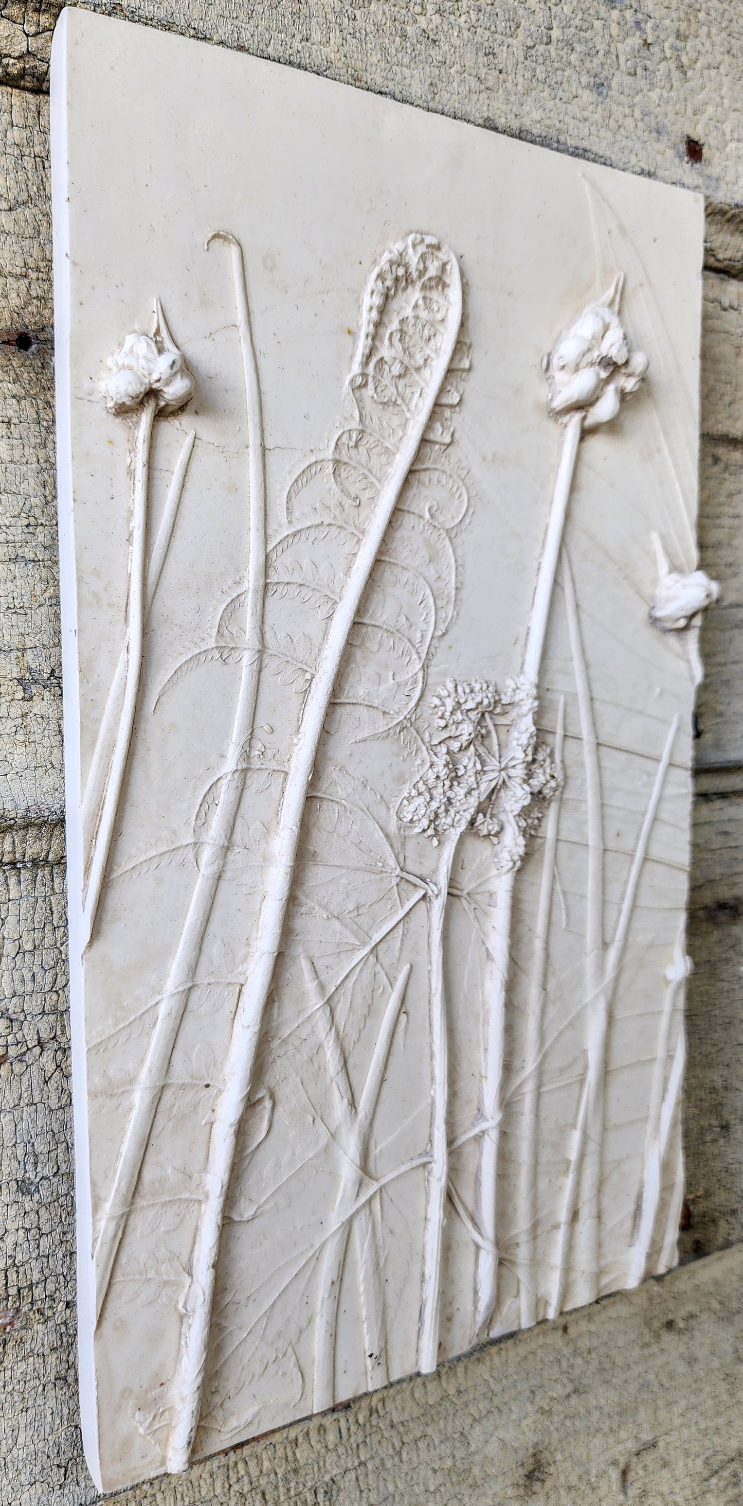 Ostrich Fern, Wild Onion, Solomon's Seal & Golden Alexander Plaster Botanical Bas Relief Wall Art