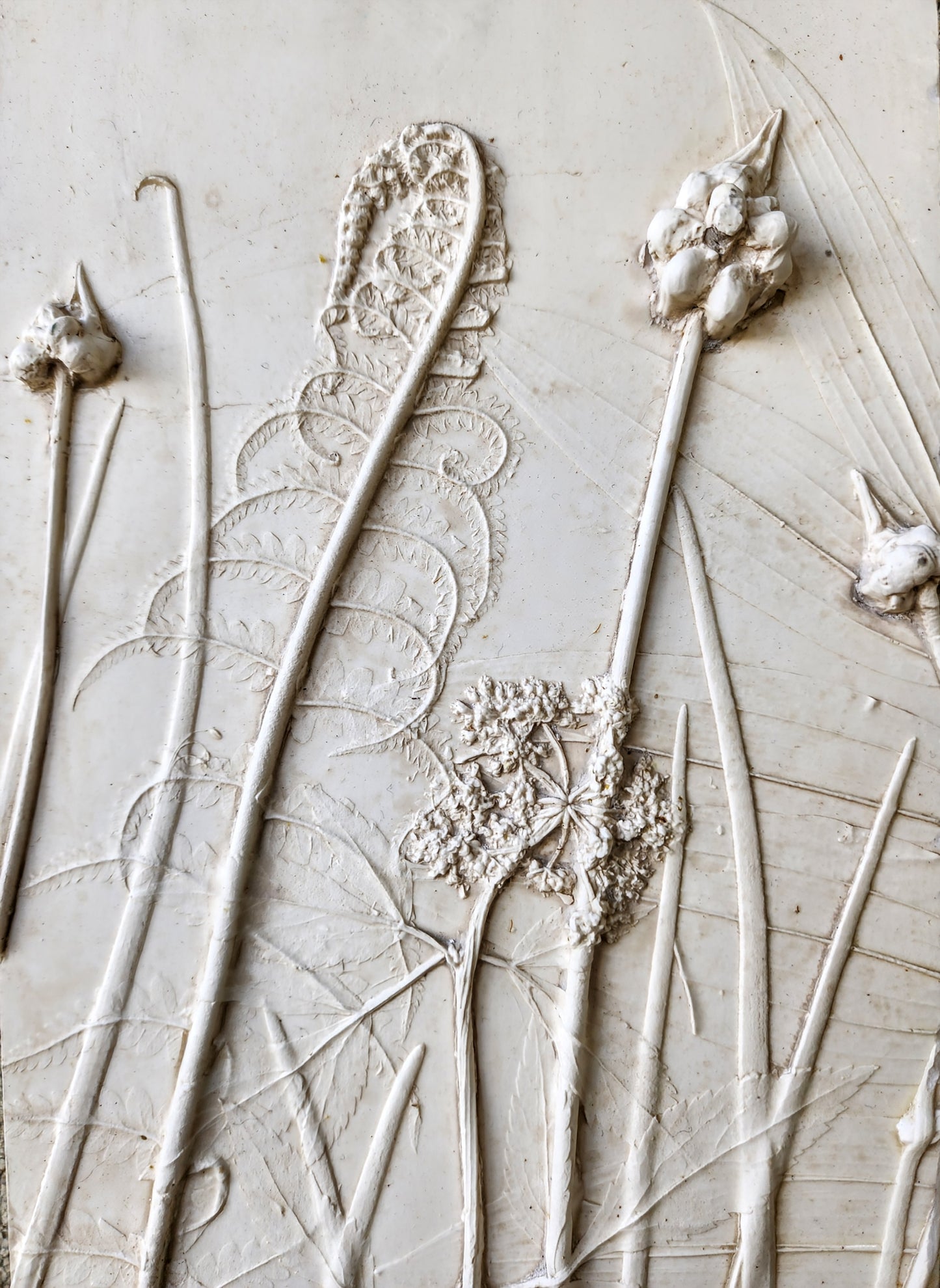 Ostrich Fern, Wild Onion, Solomon's Seal & Golden Alexander Plaster Botanical Bas Relief Wall Art