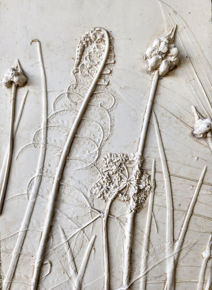 Ostrich Fern, Wild Onion, Solomon's Seal & Golden Alexander Plaster Botanical Bas Relief Wall Art