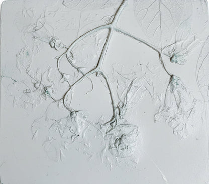 Northern Catalpa Plaster Botanical Bas Relief Wall Art