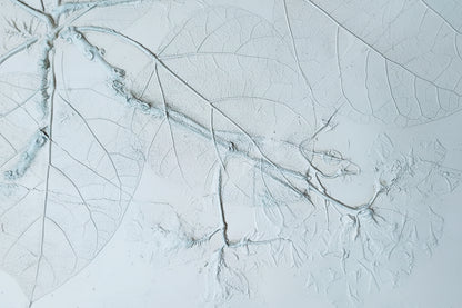 Northern Catalpa Plaster Botanical Bas Relief Wall Art